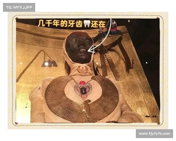 探索恐怖先祖的秘密一步步揭开神秘面纱的实用指南 探索恐怖先祖的秘密一步步揭开神秘面纱的实用指南